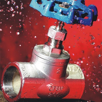 Investment Casting Globe Valve